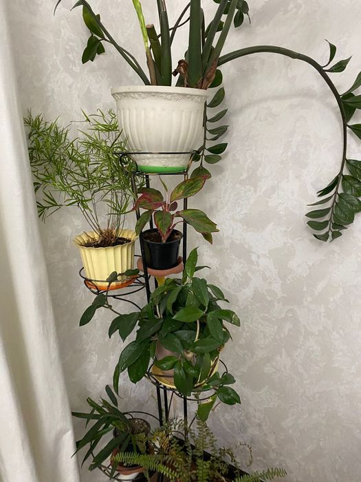 Цветы с подставкой