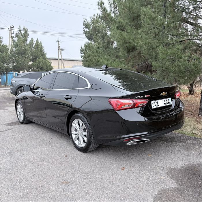 Malibu 2 Premier /2022