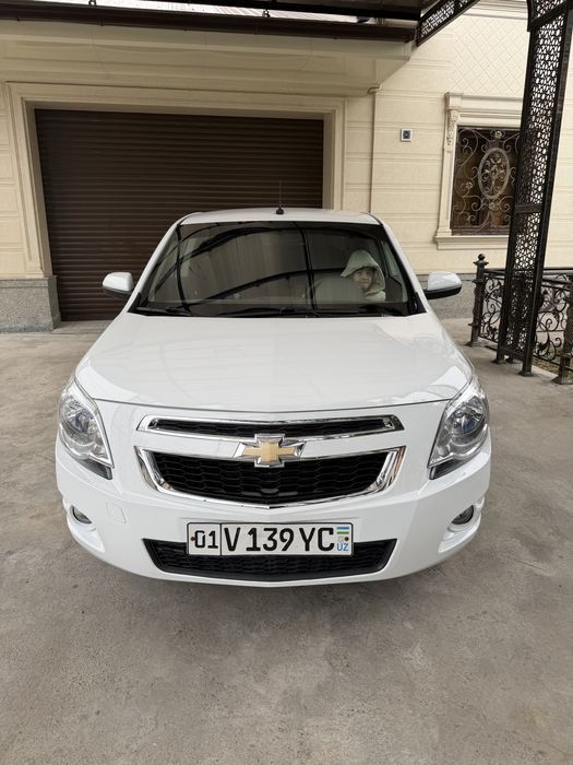 Kobalt 2023 4-Pazitsa