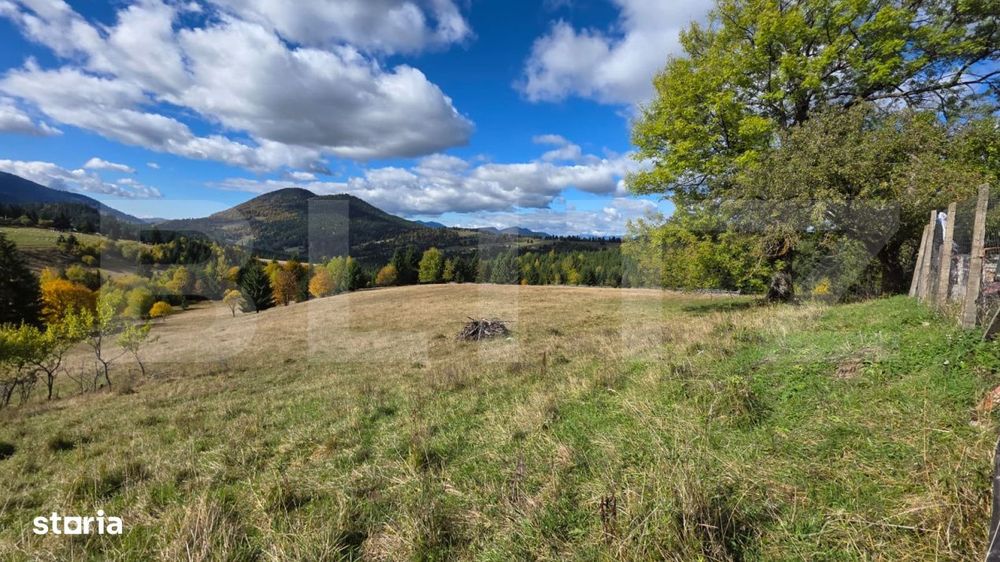 Teren 1,5 hectare - la Piatra Fantanele