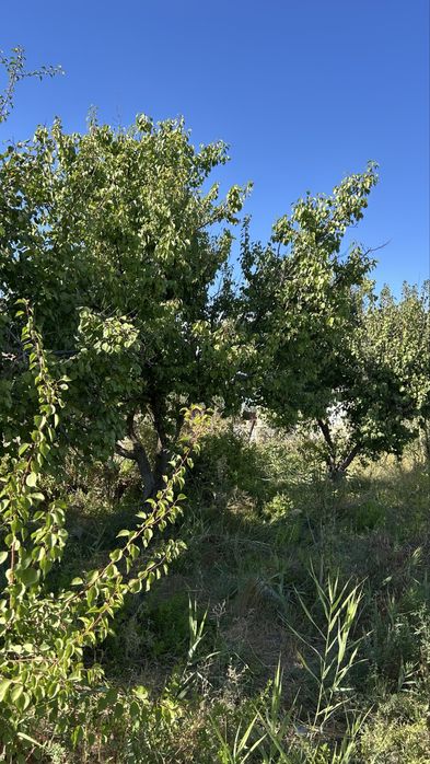 Продается большая дача