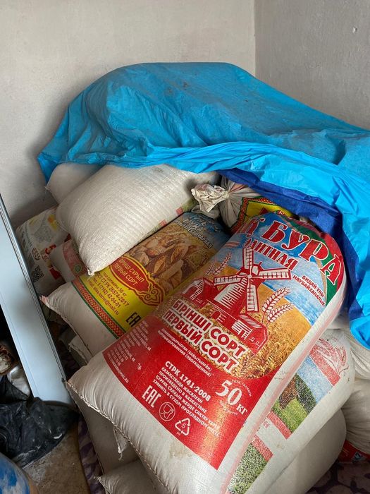 Жабайы тайпалар жалаңаш бейне