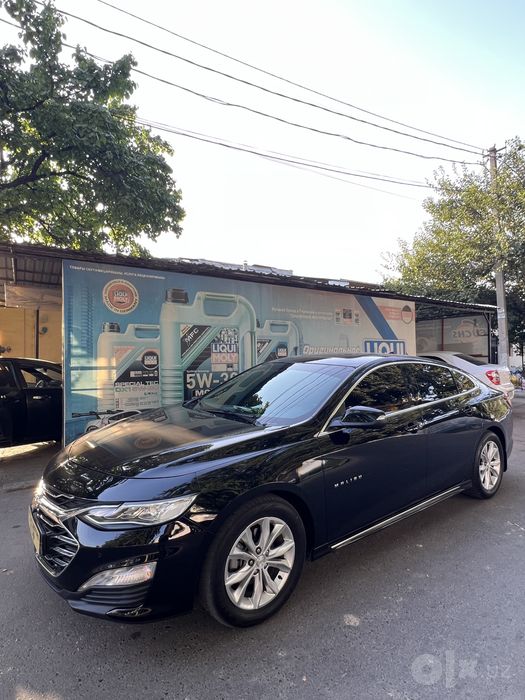 MALIBU premier 2020 batumotors
