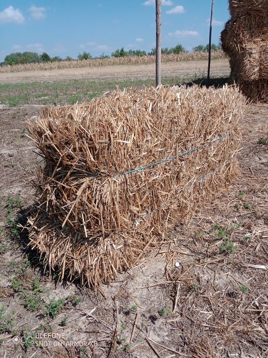 Vând baloți pae de grâu și triticale