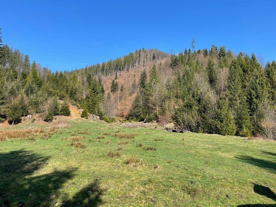 Teren cu vegetatie forestiera ( pădure )