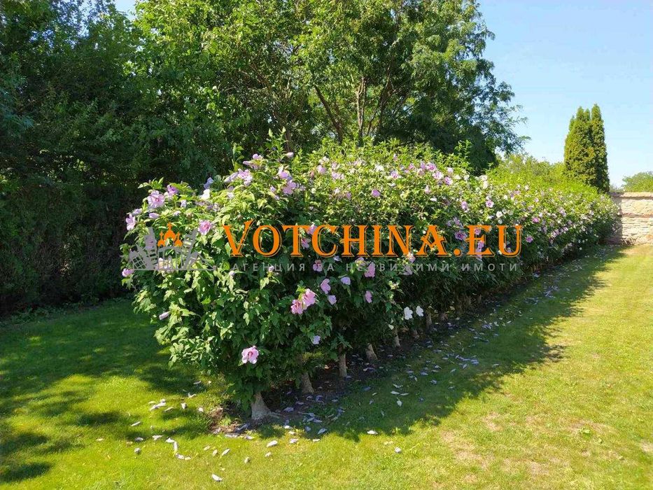 Продава се Къща в с. Тюленово, Област Добрич - 120 кв.м за 1067 €/кв.м - Снимка #7