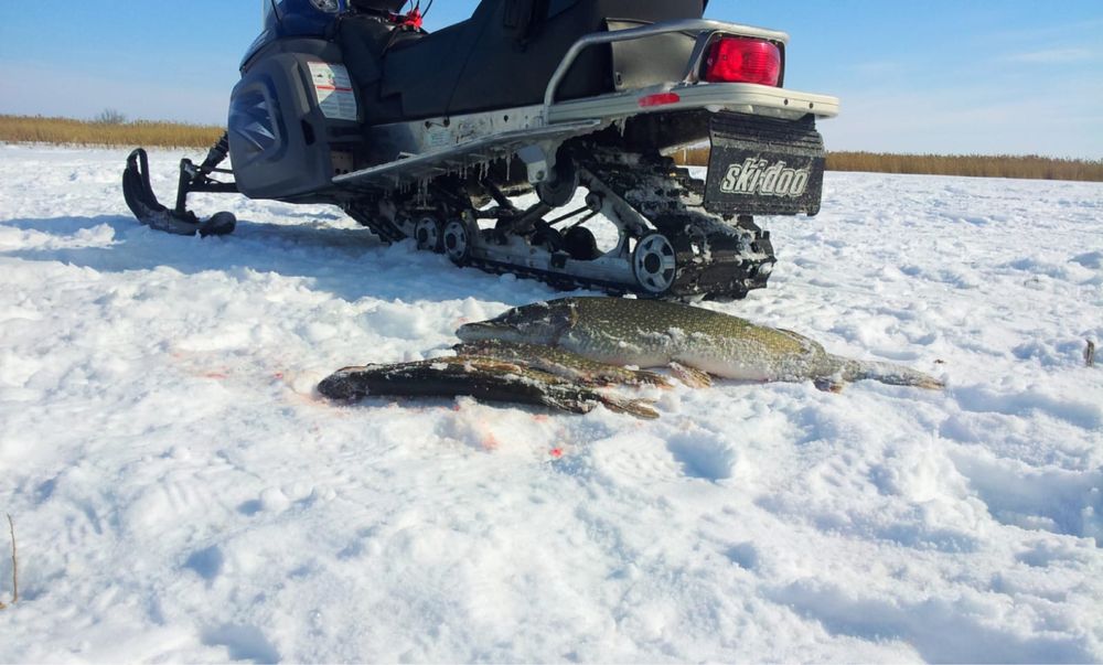 снегоход BRP legend touring v-800