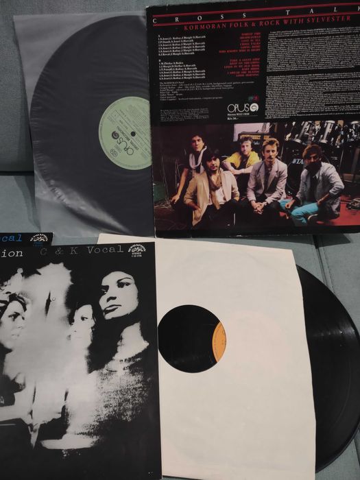 Viniluri muzica Rock &Folk veche stare foarte bună