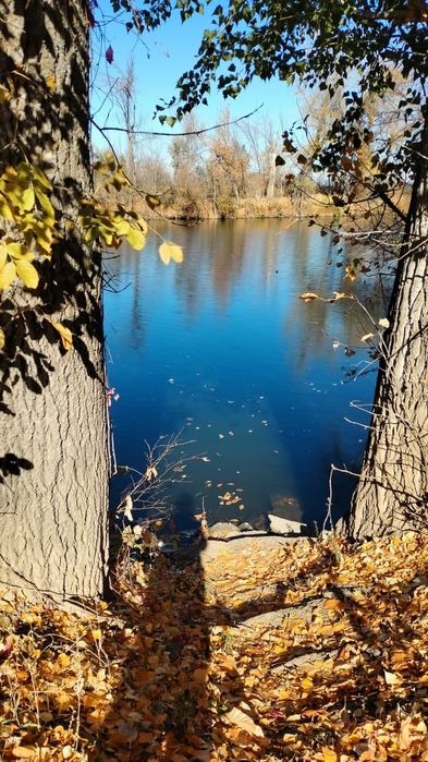 Дача на берегу реки. район Самал3