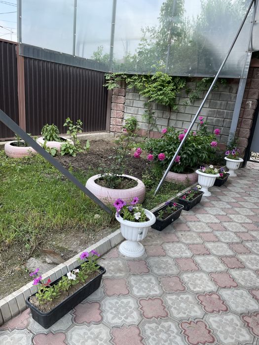 Недвижимость в бесагаше