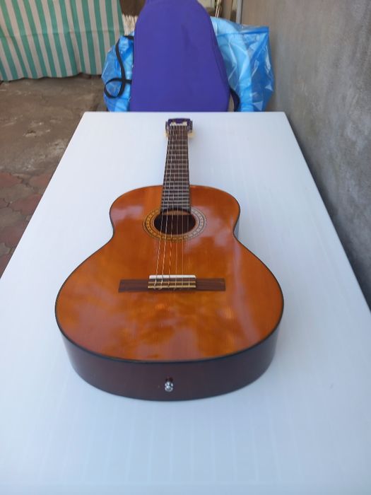 Chitara Takamine G-116