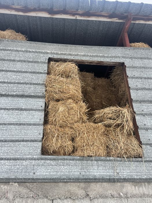 Продам тюки разнотравье