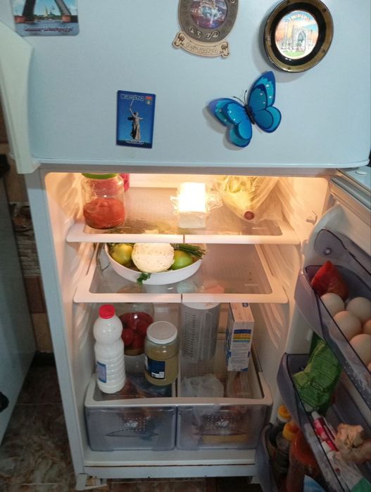 Холодильник Бирюса