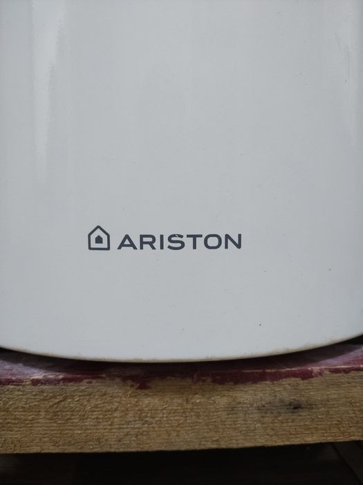 Аристон аристон.