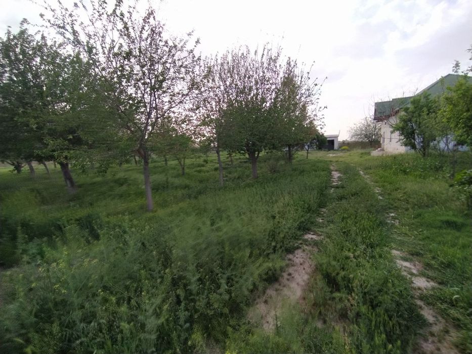 Hovli uy sotiladi tez kunda