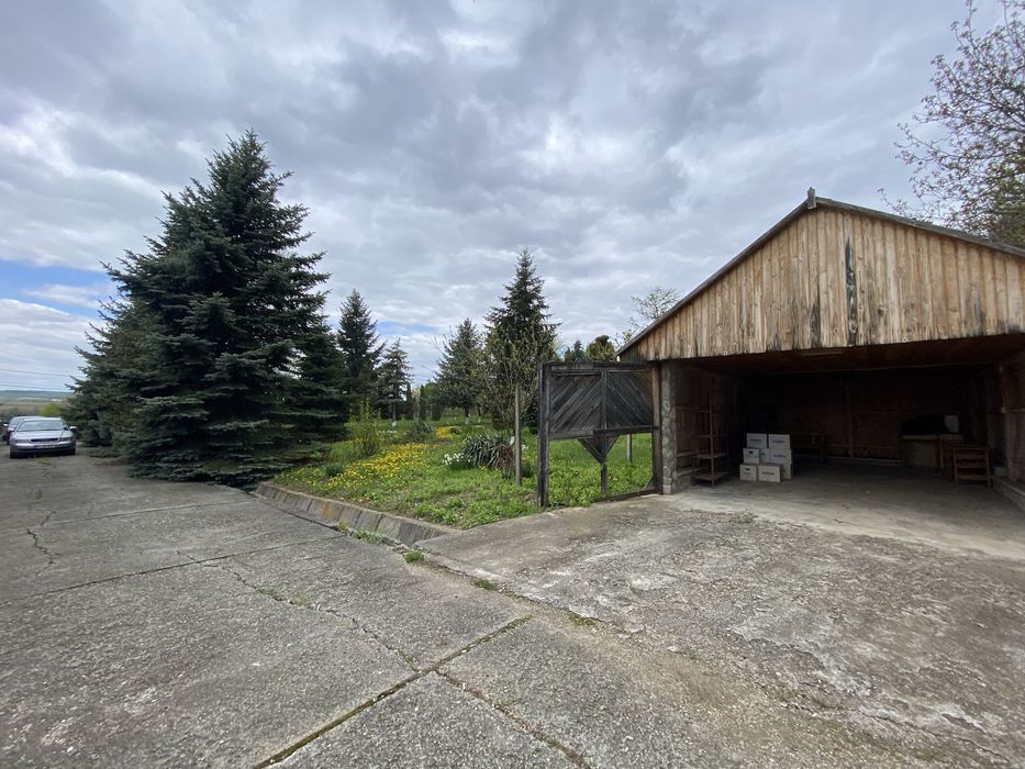 Scanduri lemn magazie