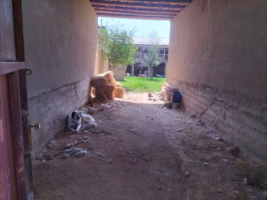 7-сотик уй сотилади