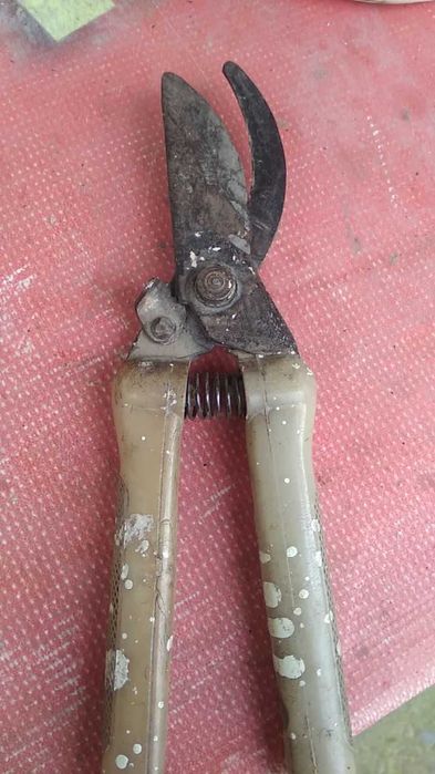 Секатор или сучкорез.ссср.цена за один.