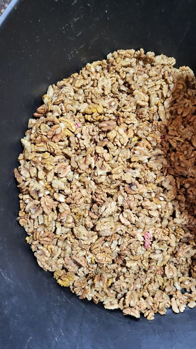 Miez de nucă uscată