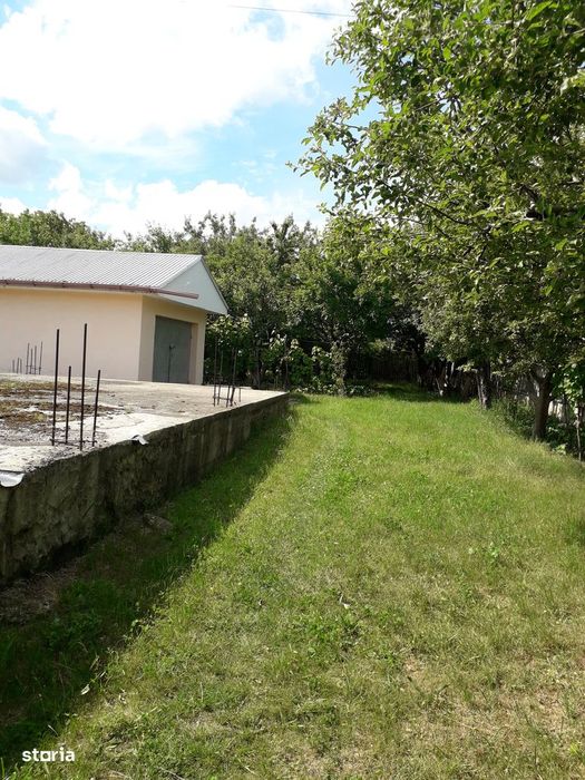 Vând grădină în Târgu Frumos