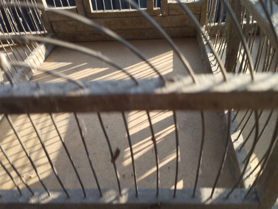 Продам клетку для птиц