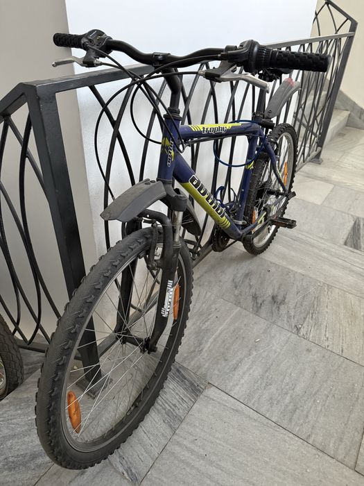 Чешский велосипед Author