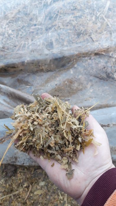 Vand Siloz din Porumb