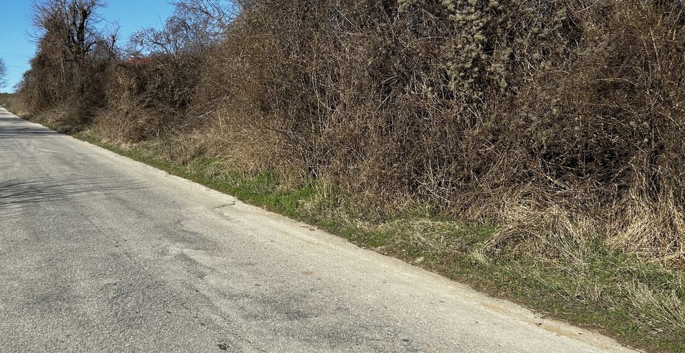 Продава се Парцел в Борово - 2484 кв.м за 3 €/кв.м - Снимка #1