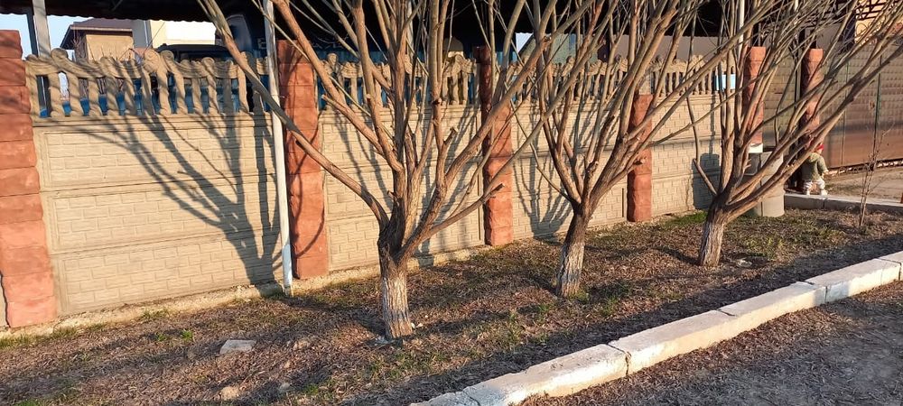 Продам  Евро заборы.10000 т.