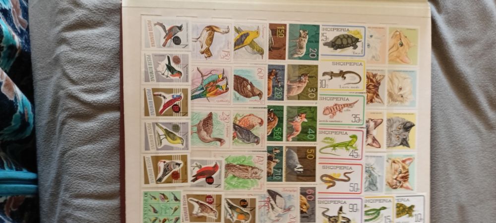 Марки         марки