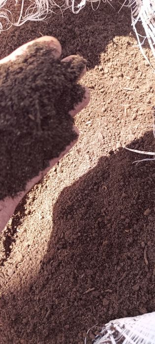 Продается натуральный Биогуммус 1000% гарантия.