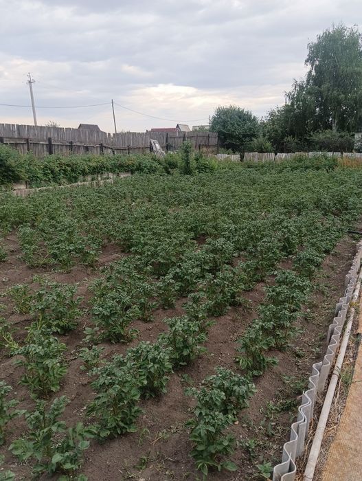 Продам дачу на машиностроителей