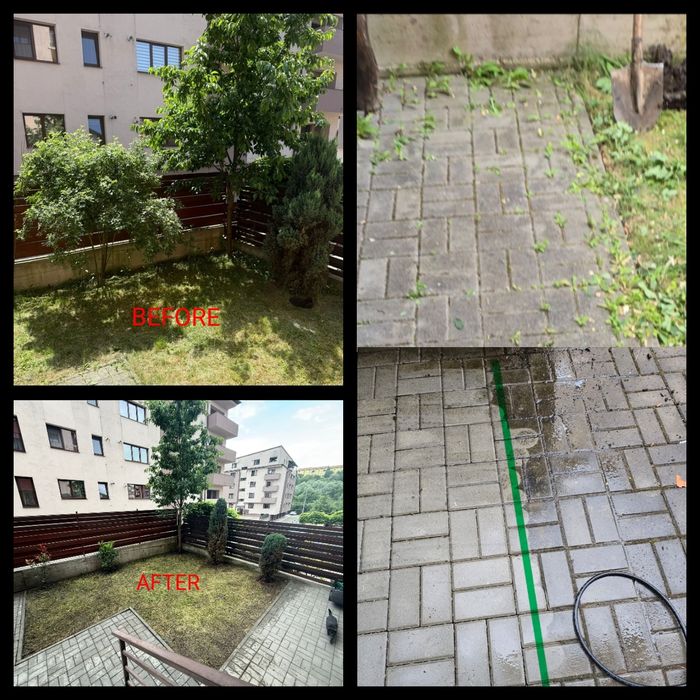 Servicii Profesionale Amenajare Curte gazon iarba debarasare Întreține