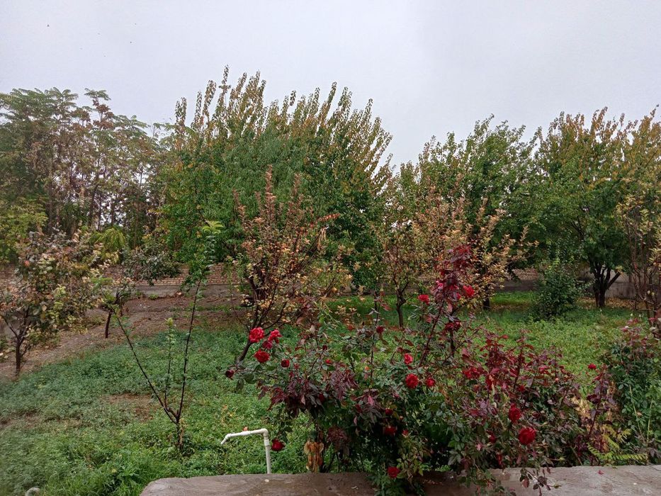 4 xonali uy oshxona va dushi bn. Bog' ham bor