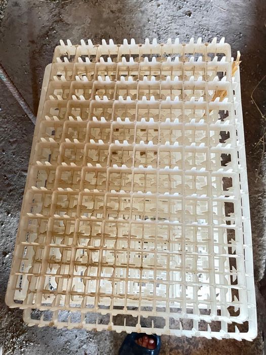 Инкубатор рабочий