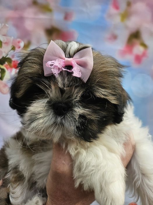 Отличный лайфхак  для сплочение семьи