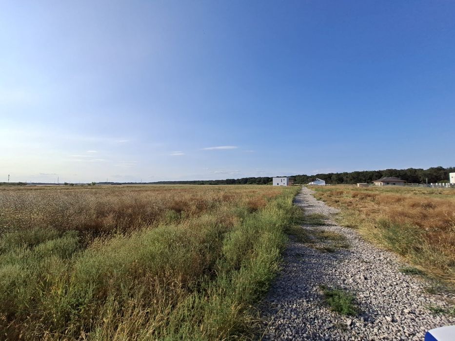 Teren 1000 mp Cernica-Caldararu langa lac si padure