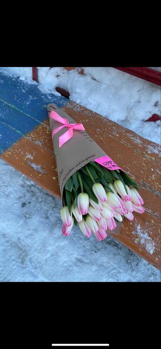 Тюльпаны оптом!!!