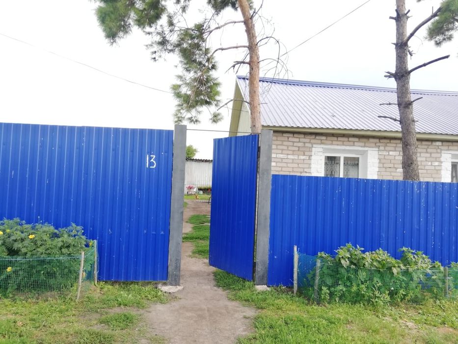Продам дом в Пресновке