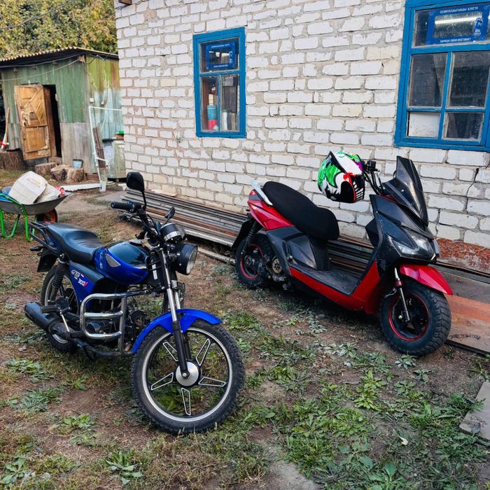 Альфа рейсер 125кубов