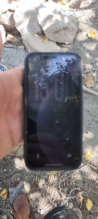 IPhone 11 promaks