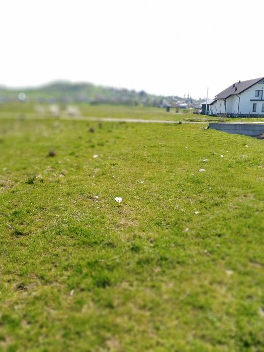 Intravilan locuri de case  Targu-Lapus  str Maramuresului