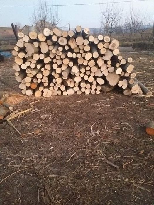 Vând lemne de foc esență tara