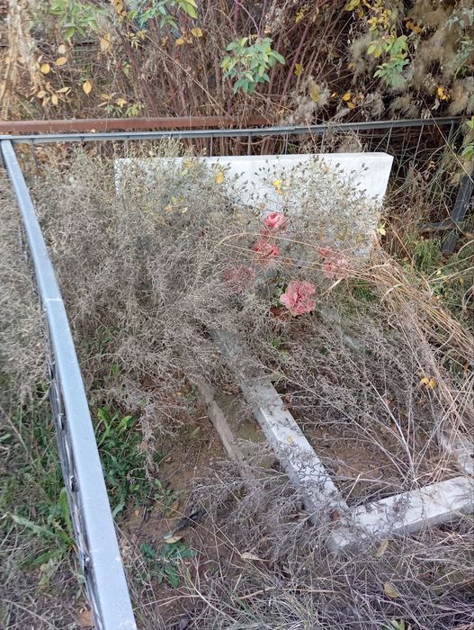 Поиск,уборка могил.