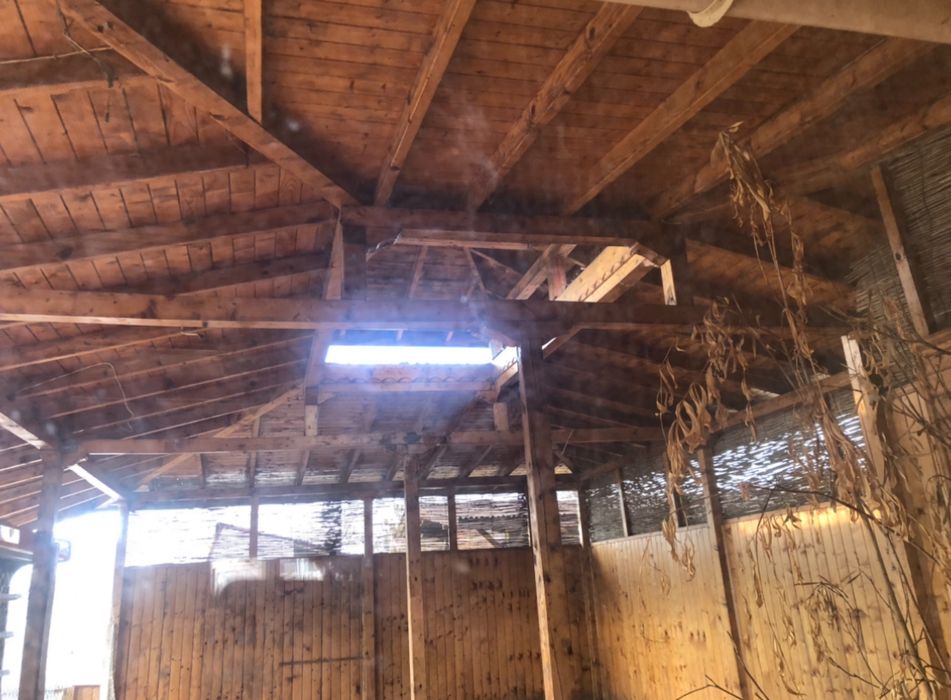 Дава се под наем Заведение в к.к. Слънчев бряг - 100 кв.м за 600 € - Снимка #1