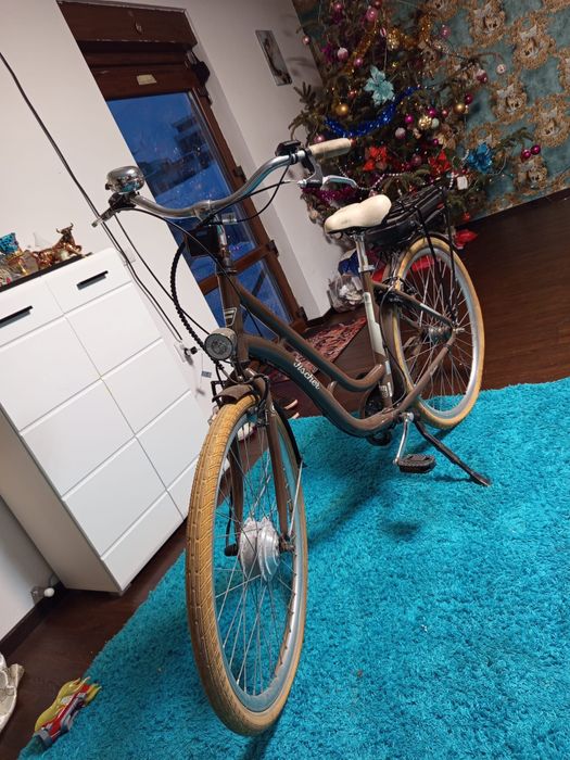 Bicicleta aduse din germania