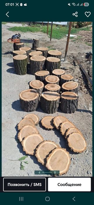 Продам пеньки карагача