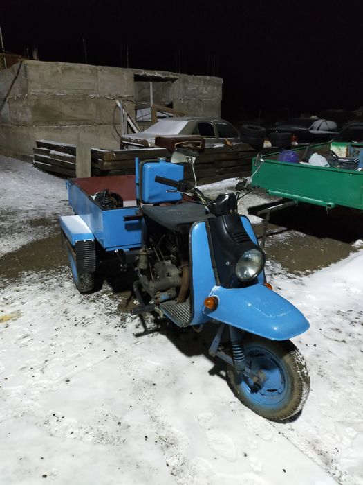 Продам муравейник