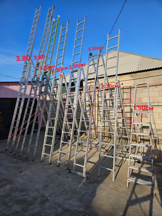 Леса аренда жалға беріледі