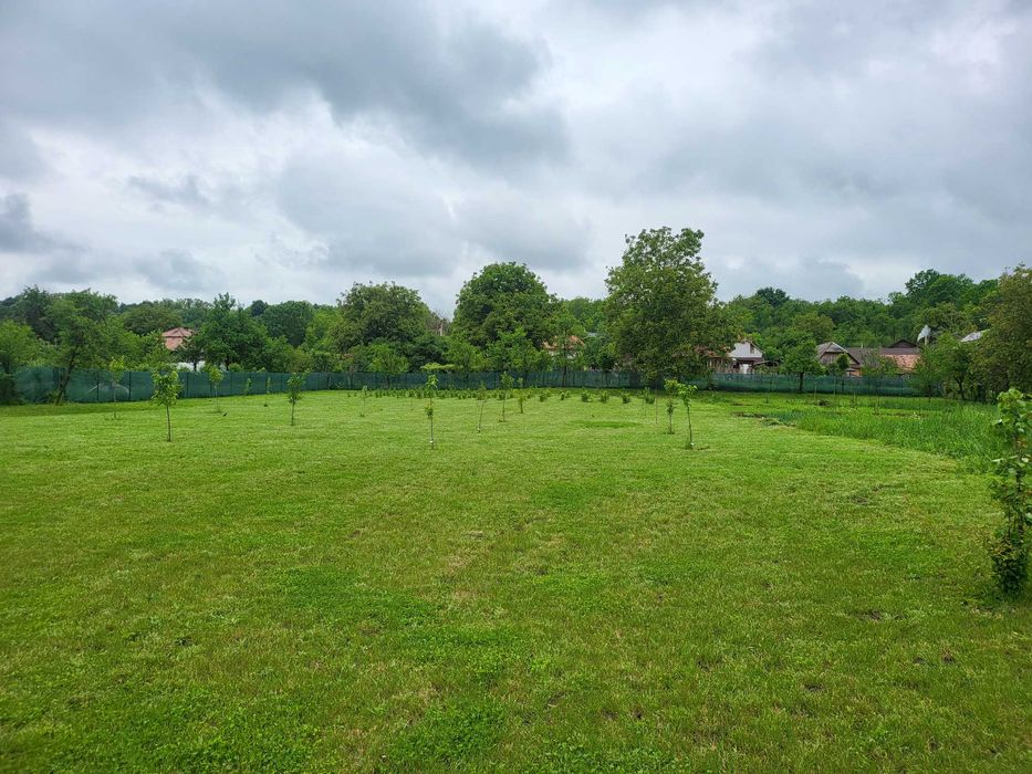 Teren Stremt str principala nr 113